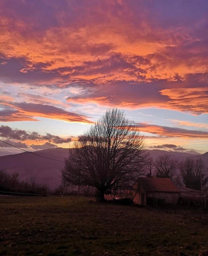 Bellavista B&B Roccavivara Kültér fotó